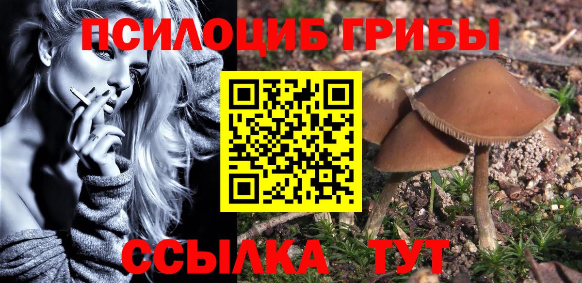 купить наркотик  Вход с VPN  Волжский  Псилоцибиновые грибы GOLDEN TEACHER 